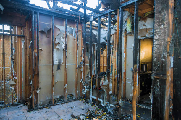Professional Structural Rebuild technician working in Andover, MN
